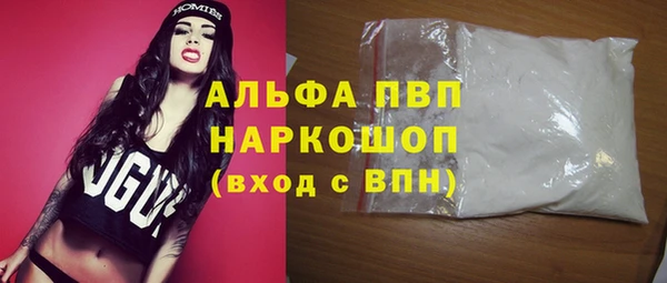 прущие грибы Новодвинск