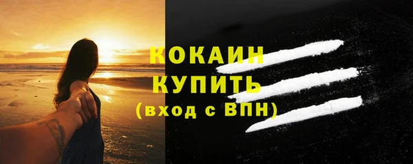 прущие грибы Новодвинск