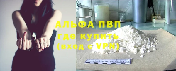 прущие грибы Новодвинск