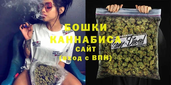 дмт Новозыбков
