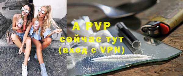 прущие грибы Новодвинск