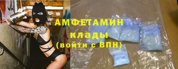 прущие грибы Новодвинск