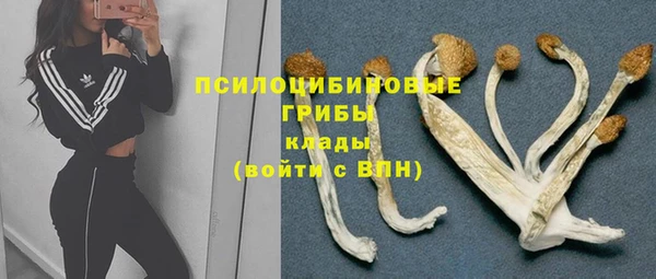 spice Нея
