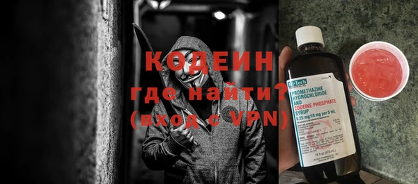 прущие грибы Новодвинск