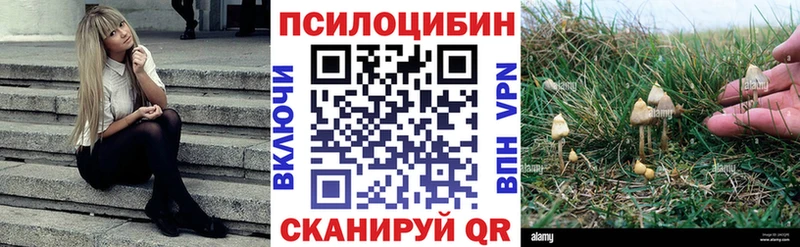 где продают   Нолинск  hydra рабочий сайт  Галлюциногенные грибы Psilocybine cubensis 